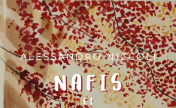 Libro/“Nafis e i corridoi colorati” di Alessandro Niccoli: un guerriero di parole che combatte le ingiustizie del mondo con l’amore