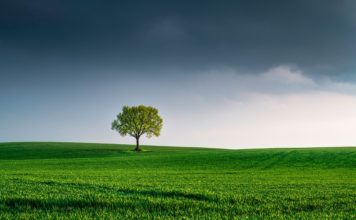 Il dito nell’occhio/Quei Comuni senza soldi che rendono la vita dura alla cittadinanza. E il governo rinvia i problemi