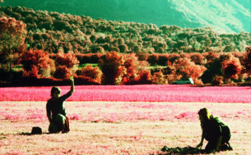 Museo Madre/Libri d’artista sotto il segno della cultura internazionale. Con Giuseppe Caccavale e Domenico Mennillo