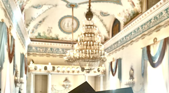 Museo e Real Bosco di Capodimonte/ Bambine e bambini diventano esploratori di arte e storia con NarteA