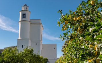 Gran finale/ Wine&Thecity: sapori artigianali da ritrovare nello storico giardino Torre del Real Bosco di Capodimonte