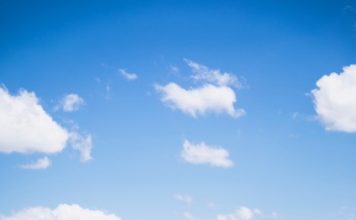 Residenza d’artista/ Da Napoli in Toscana: Ida, un’agenzia che diffonde semi di bellezza. La creatività a contatto con la natura