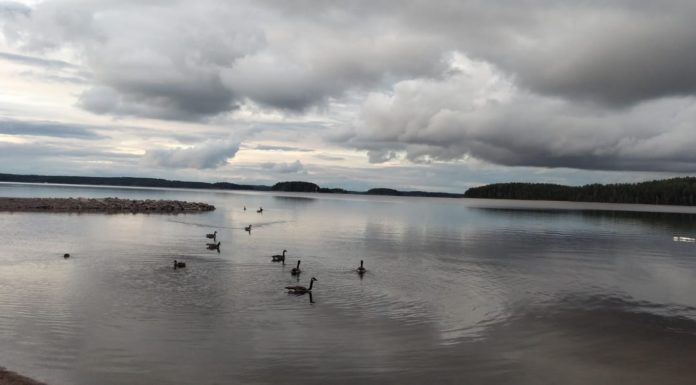 In viaggio/ Finlandia, luogo di sentimenti e paesaggi. Dove la natura abbraccia la libertà