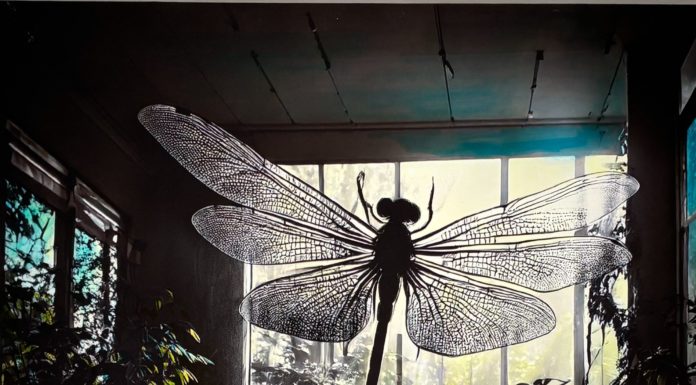 Festival internazionale/ Arriva a Napoli il progetto “Art for women today”: donne che camminano nel contemporaneo. Il futuro di un’identità creativa (7 – 21 novembre)