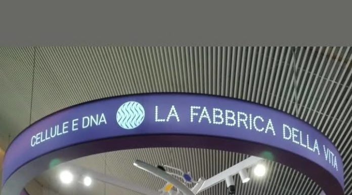 Scampia/ IC 5 Montale: porte aperte al pubblico. Una settimana tra laboratori, scienza e creatività (15 – 19 dicembre)