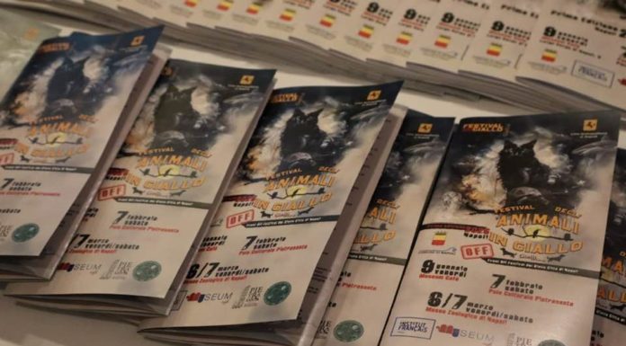 Crime & mistero/ Napoli accoglie il primo festival degli animali in giallo. Appuntamenti da gennaio a marzo: si chiude al museo zoologico di via Mezzocannone