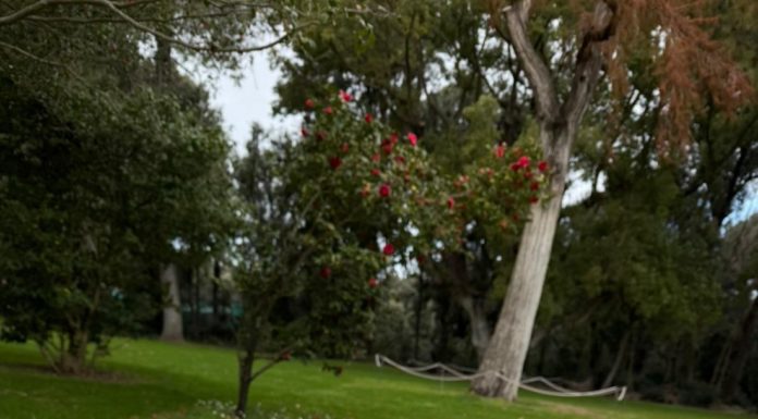 Capodimonte/ Pannelli in braille che profumano di fiori: così il giardino dei principi accoglie il pubblico (senza esclusioni)