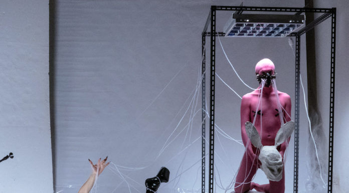 Napoli queer festival/ Cronache da mondi non autorizzati: dal 14 al 19 aprile la città accoglie linguaggi inediti e forme di resistenza. C’è anche Priscilla