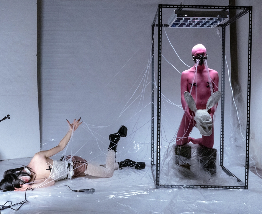 Binary_Mutilation_Desira