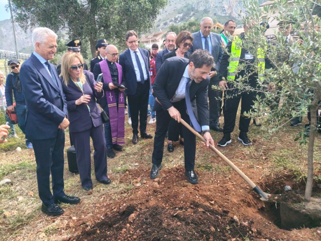 ulivo claudio salvia