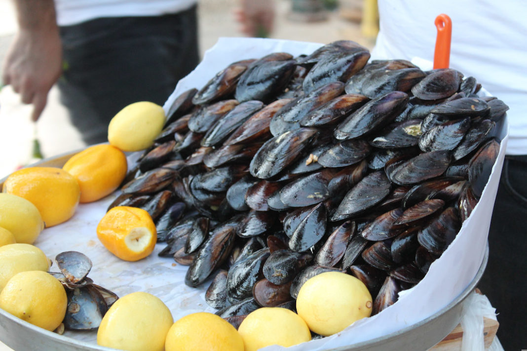 zumasik-mussels-3780559_edited