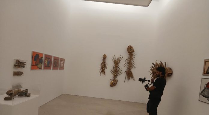 Museo Madre/ Gli anni: la memoria collettiva vive (anche) attraverso i mitili di Rosa Panaro e la sua ironia. Ai tempi del colera a Napoli (1973)