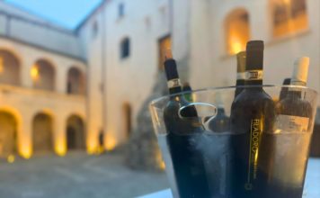 Irpinia/ Fiano Love Fest: quella passione per il vino che diventa identità. Dal 7 al 9 agosto, elogio della lentezza