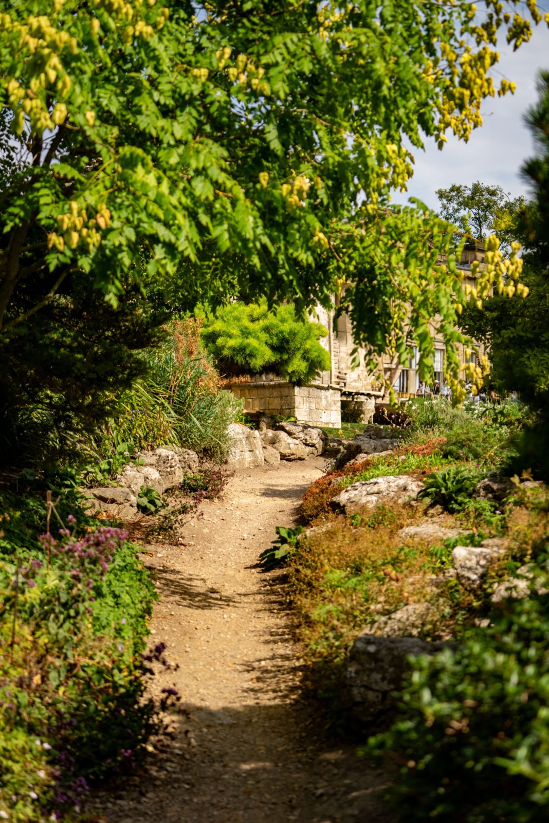 giardino ok