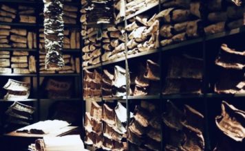 Archivio Storico del Banco di Napoli/ Nel silenzio delle carte, la voce del corpo: Giuseppe Leone ridà vita a manoscritti e atti notarili